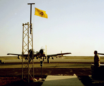 Gadsden flag in Iraq