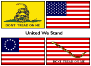 Don't Tread on Me: United We Stand