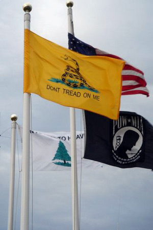 Dont Tread on Me flag in Riverdale