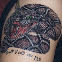 Don't Tread on Me rattlesnake tattoo