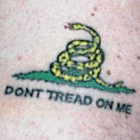 Gadsden snake tattoo
