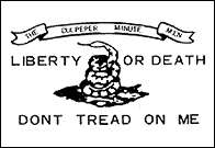 Culpeper Dont Tread on Me Liberty or Death flag
